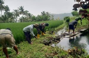 Rawat Ketersediaan Air, Babinsa Desa Serang Bersama Warga Gotong Royong Bersihkan Sumber Air Pertanian