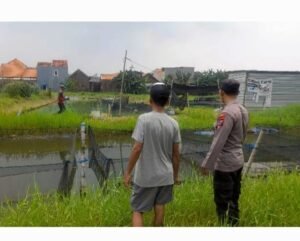 Warga Desa Trosobo Siap Panen Lele, Dukung Program Ketahanan Pangan 