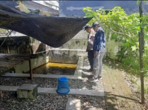 Bhabinkamtibmas Wedoro Dukung Ketahanan Pangan Lewat Budidaya Ikan Patin di Lahan Kosong 