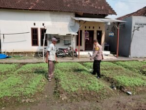 Warga Desa Pangkemiri Manfaatkan Lahan Pekarangan untuk Wujudkan Ketahanan Pangan Mandiri