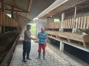 Polsek Gedangan Apresiasi Inisiatif Warga Manfaatkan Lahan Kosong untuk Peternakan Kambing