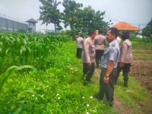 Polresta Sidoarjo Lakukan Monitoring Program Ketahanan Pangan di Dua Lahan Wilayah Kecamatan Porong