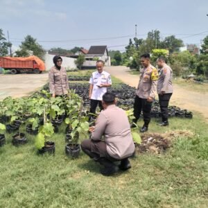Satgas Ketahanan Pangan Polresta Sidoarjo Cek Lahan P2B Desa Lemujut Krembung