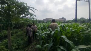 Anggota Polsek Waru Tinjau Ketahanan Pangan Desa, Ajak Warga Rawat Tanaman untuk Swasembada Pangan