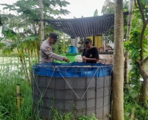 Langkah Ketahanan Pangan, Warga Desa Trosobo Manfaatkan Lahan Kosong untuk Kolam Bioflok Pembesaran Lele