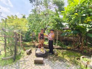 Polresta Sidoarjo Terus Solidkan Dukung Ketahanan Pangan, Bhabinkamtibmas Kelurahan Ngelom Suport Petani Blimbing 