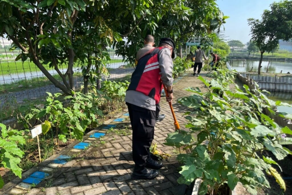 Polsek Krian Rutin Laksanakan Pemeliharaan Program Ketahanan Pangan di Desa Ponokawan Krian
