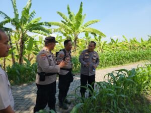 Satgas Ketahanan Pangan Polresta Sidoarjo Tinjau Potensi Desa Pangkemiri Tulangan