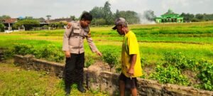 Anggota Polsek Krembung Tinjau Kesuburan Lahan Pertanian Dukung Program Ketahanan Pangan Nasional