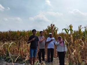 Kanit Binmas Polsek Prambon bersama Perangkat Desa Silaturahmi ke Petani Jagung, Dukung Ketahanan Pangan 