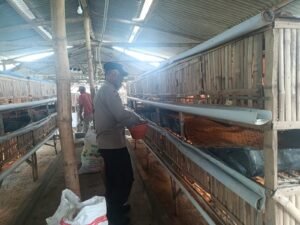 Peternakan Ayam Bumdes Kraton Diharapkan Dukung Ketahanan Pangan Polresta Sidoarjo