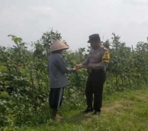 Wujud Polisi Cinta Petani, Bhabinkamtibmas Kedungboto Implementasikan Ketahanan Pangan di Tingkat Desa