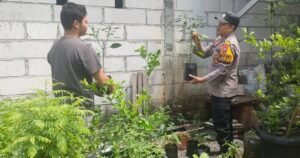 Bhabinkamtibmas Polsek Buduran Ajak Warga Tekun Rawat Tanaman Demi Ketahanan Pangan Sidoarjo