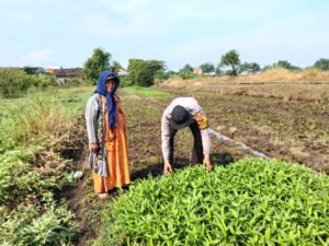 Polsek Balongbendo Patroli Ketahanan Pangan, Ajak Petani Dukung Program Asta Cita Presiden