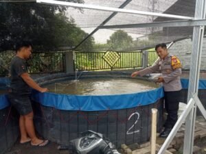 Bhabinkamtibmas Banjarsari Polsek Buduran Dukung Peternak Lele, Dorong Ketahanan Pangan 