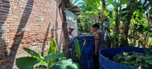 Dukung Ketahanan Pangan Lewat Budidaya Ikan Lele, Bhabinkamtibmas Desa Putat Rangkul Petani Binaan 