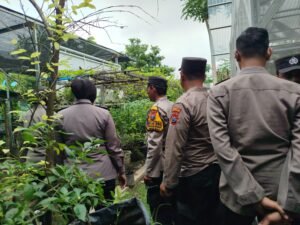 Wujudkan Ketahanan Pangan, Rumah Benih P2L di Desa Kepuh Kiriman Jadi Contoh Swasembada Pangan Mandiri
