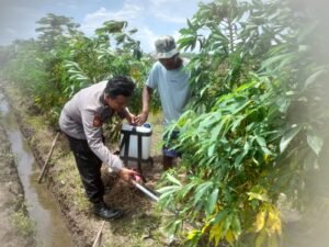 Bhabinkamtibmas Desa Simogirang Lakukan Kontrol Lahan Pangan Bergizi untuk Dukung Ketahanan Pangan Nasiona