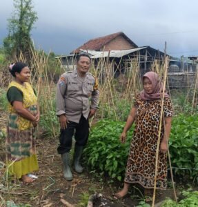 Bhabinkamtibmas Desa Tambak Kalisogo Cek Tanaman Sayur Dukung Ketahanan Pangan