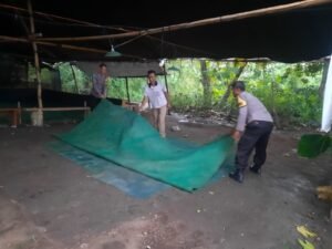 Bongkar Arena Sabung Ayam di Bagor, Polisi Bergerak Cepat Tindaklanjuti Aduan Warga