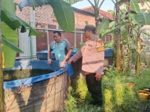 Bhabinkamtibmas Polsek Sukodono Polresta Sidoarjo Cek Lahan P2B untuk Dukung Swasembada Pangan Warga
