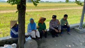 Polisi Cinta Petani, Bripka Murtadoh Ngobrol Ketahanan Pangan dengan Warga Bakungtemenggungan Balongbendo