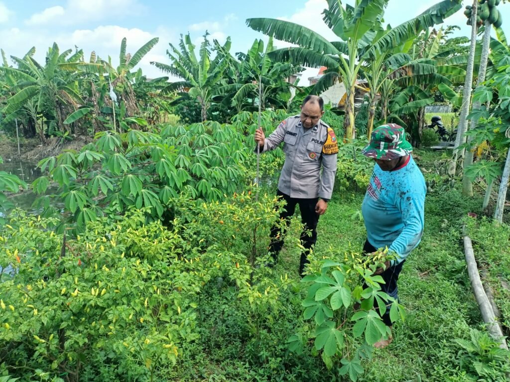 Bhabinkamtibmas Sambangi petani, Dukung Program Ketahanan Pangan Polresta Sidoarjo