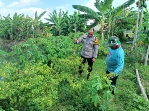 Bhabinkamtibmas Sambangi petani, Dukung Program Ketahanan Pangan Polresta Sidoarjo
