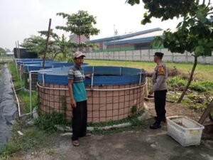 Polisi Cinta Petani: Polresta Sidoarjo Polsek Krian Dampingi Warga Budidaya Lele Wujudkan Ketahanan Pangan