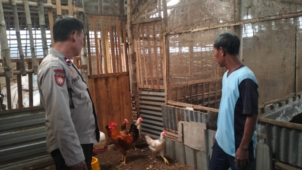 Bhabinkamtibmas Polsek Krian Dukung Ketahanan Pangan Lewat Pendampingan Peternak Ayam di Desa Jatikalang Krian 