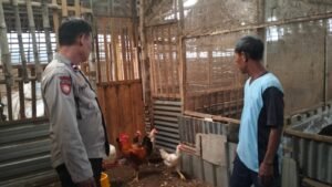 Bhabinkamtibmas Polsek Krian Dukung Ketahanan Pangan Lewat Pendampingan Peternak Ayam di Desa Jatikalang Krian 