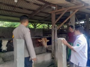 Polisi Himbau Peternak Sapi Perhatikan Kesehatan Hewan Demi Ketahanan Pangan Polresta Sidoarjo
