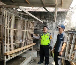 Bhabinkamtibmas Kedungsolo Tinjau Program Ketahanan Pangan Peternakan Ayam