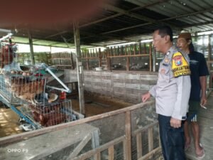 Bhabinkamtibmas Kenongo Ajak Peternak Ayam Jaga Kebersihan Kandang Demi Ketahanan Pangan