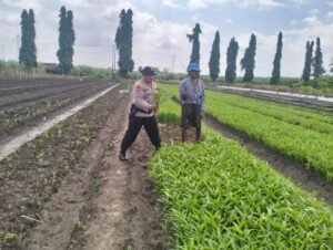 Dukung Program Ketahanan Pangan Nasional Bhabinkamtibmas Desa Gamping Krian Bersama Petani Lakukan Pemeliharaan Tanaman Kangkung
