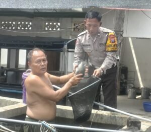 Polsek Tanggulangin Dukung Ketahanan Pangan Melalui Budidaya Ikan Mujair