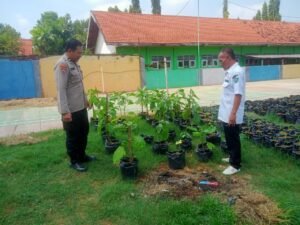 Polresta Sidoarjo Tingkatkan Ketahanan Pangan Melalui Pendampingan Tanaman Hortikultura