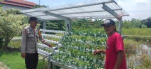 Polsek Candi Motivasi Ketahanan Pangan Lewat Sayur Hidroponik di Desa Gelam 