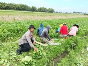 Bhabinkamtibmas Jeruklegi Dorong Warga Manfaatkan Lahan Tidur untuk Ketahanan Pangan Hortikultura