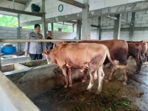 Bhabinkamtibmas dan Perangkat Desa Keboan Anom Tinjau Kondisi Ternak Dukung Program Ketahanan Pangan 
