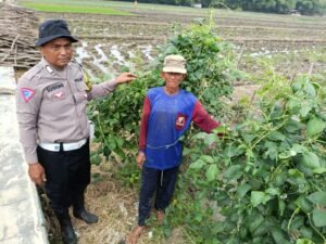 Polsek Balongbendo Dorong Ketahanan Pangan Lewat Pemanfaatan Pekarangan Tidur