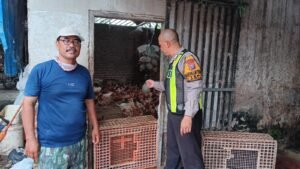 Bhabinkamtibmas Polsek Krian Dukung Asta Cita Ketahanan Pangan Pendampingan Peternak Ayam di Desa Terik Krian 