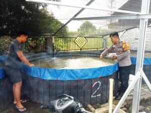 Dukung Swasembada Panga Bhabinkamtibmas Aipda Suhermanto Kunjungi Peternak Lele Wujudkan Ketahanan Nasional.