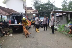 Libatkan Anjing Pelacak Polisi Kembali Cari Korban Longsor di Trenggalek