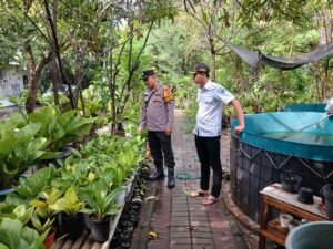 Bhabinkamtibmas Apresiasi Inisiatif Warga Rangkah Kidul Budidayakan Lele Dukung Ketahanan Pangan