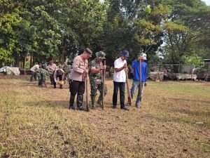 Forkopimca Krembung Kompak Tanam Benih Jagung Hibrida di Desa Lemujut 