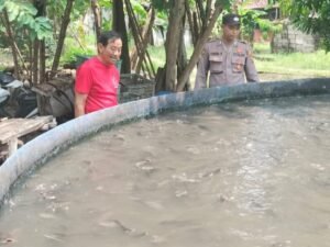 Polsek Tarik Pantau Budidaya Lele di Singogalih, Dukung Program Ketahanan Pangan 