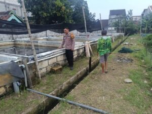 Bhabinkamtibmas Desa.Waung Dampingi Petani Lele Dulu Ketahanan Pangan 