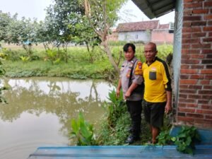 Sektor Prambon Dukung Ketahanan Pangan Polresta Sidoarjo Lewat Budidaya Ikan Gurami 