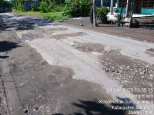 Jalan Raya Aspal Dusun Polo Gunting Desa Gempolsari Rusak Parah